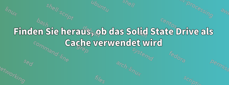 Finden Sie heraus, ob das Solid State Drive als Cache verwendet wird