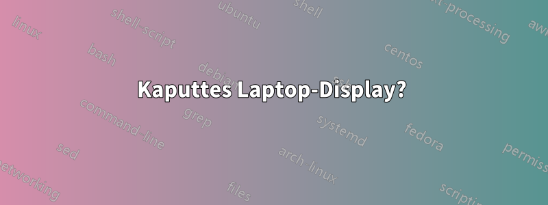 Kaputtes Laptop-Display?