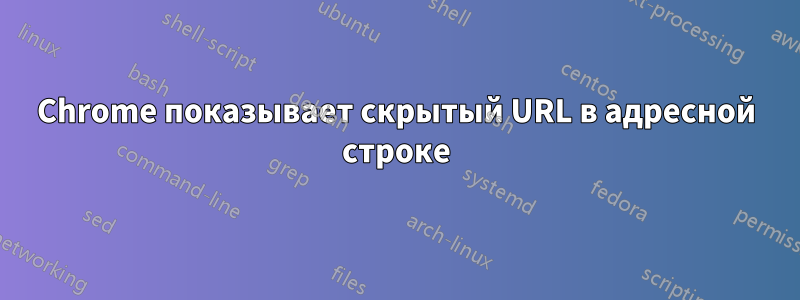 Chrome показывает скрытый URL в адресной строке