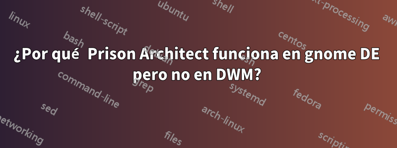 ¿Por qué Prison Architect funciona en gnome DE pero no en DWM?