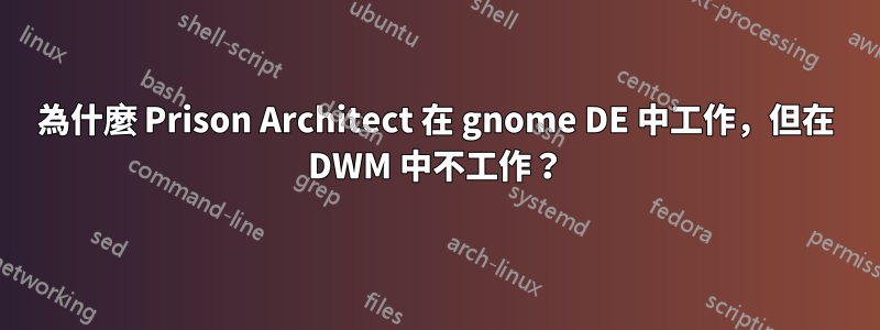 為什麼 Prison Architect 在 gnome DE 中工作，但在 DWM 中不工作？