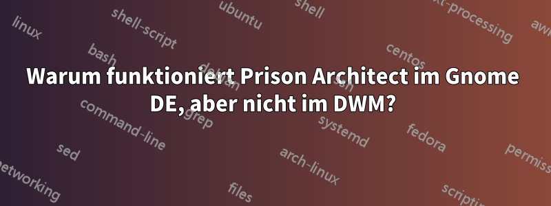 Warum funktioniert Prison Architect im Gnome DE, aber nicht im DWM?