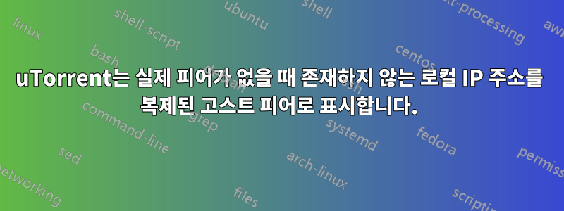 uTorrent는 실제 피어가 없을 때 존재하지 않는 로컬 IP 주소를 복제된 고스트 피어로 표시합니다.