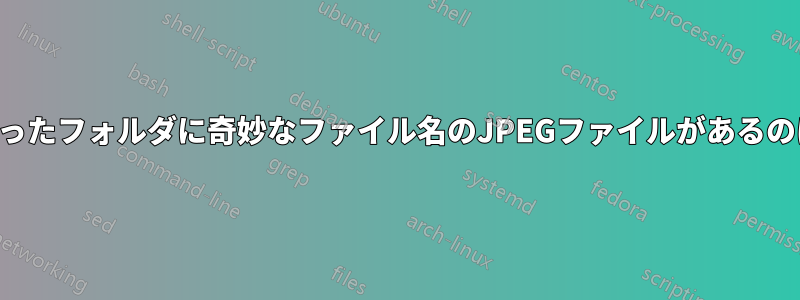 動画の入ったフォルダに奇妙なファイル名のJPEGファイルがあるのはなぜか