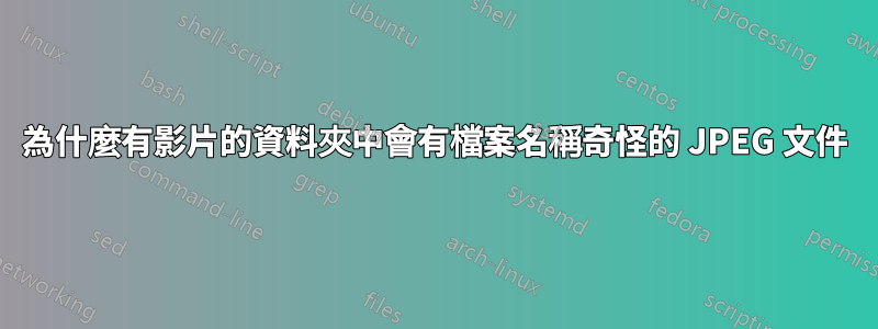 為什麼有影片的資料夾中會有檔案名稱奇怪的 JPEG 文件