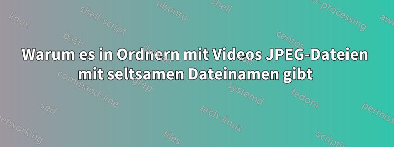 Warum es in Ordnern mit Videos JPEG-Dateien mit seltsamen Dateinamen gibt