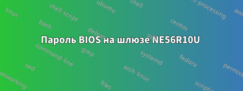 Пароль BIOS на шлюзе NE56R10U