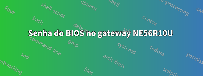 Senha do BIOS no gateway NE56R10U