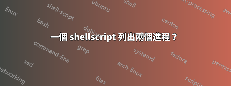 一個 shellscript 列出兩個進程？