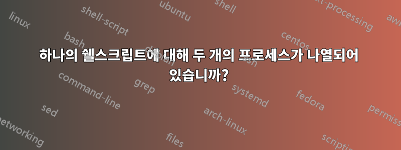 하나의 쉘스크립트에 대해 두 개의 프로세스가 나열되어 있습니까?