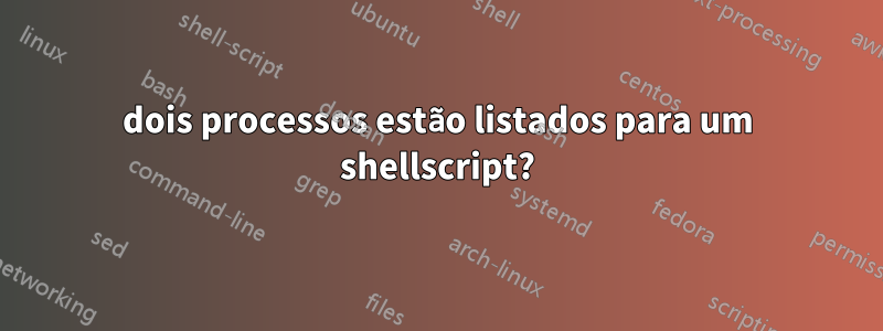 dois processos estão listados para um shellscript?