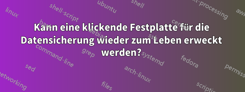 Kann eine klickende Festplatte für die Datensicherung wieder zum Leben erweckt werden?