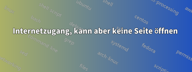 Internetzugang, kann aber keine Seite öffnen