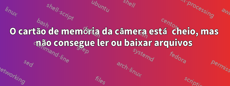 O cartão de memória da câmera está cheio, mas não consegue ler ou baixar arquivos