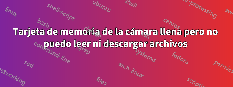 Tarjeta de memoria de la cámara llena pero no puedo leer ni descargar archivos