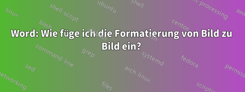 Word: Wie füge ich die Formatierung von Bild zu Bild ein?