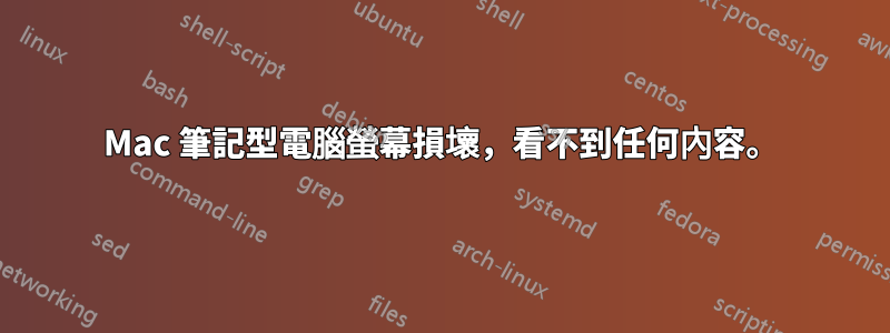 Mac 筆記型電腦螢幕損壞，看不到任何內容。