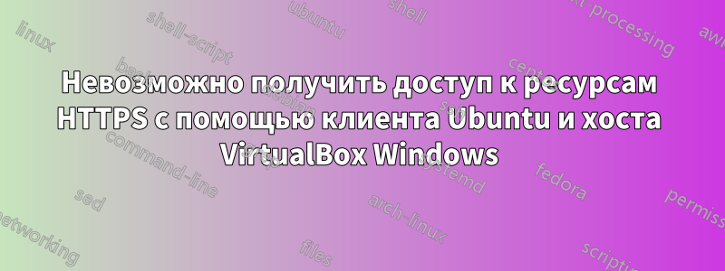 Невозможно получить доступ к ресурсам HTTPS с помощью клиента Ubuntu и хоста VirtualBox Windows