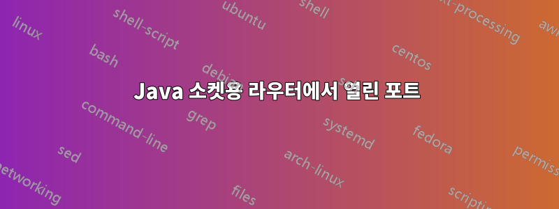 Java 소켓용 라우터에서 열린 포트