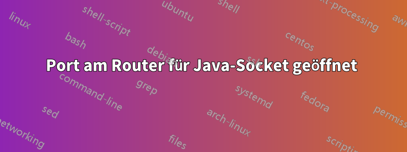 Port am Router für Java-Socket geöffnet