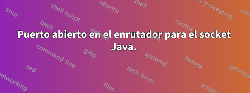 Puerto abierto en el enrutador para el socket Java.