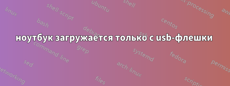 ноутбук загружается только с usb-флешки