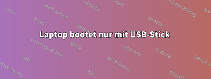 Laptop bootet nur mit USB-Stick