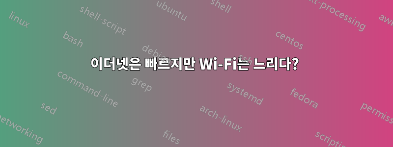 이더넷은 빠르지만 Wi-Fi는 느리다?