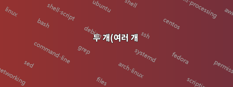 두 개(여러 개)의 인터넷 제공업체가 있습니까?
