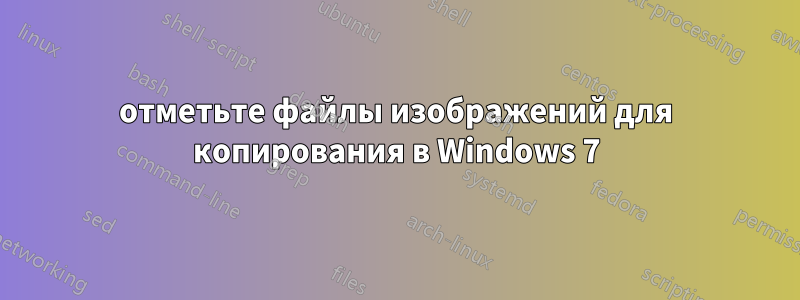 отметьте файлы изображений для копирования в Windows 7