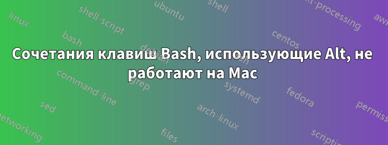 Сочетания клавиш Bash, использующие Alt, не работают на Mac