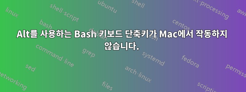 Alt를 사용하는 Bash 키보드 단축키가 Mac에서 작동하지 않습니다.