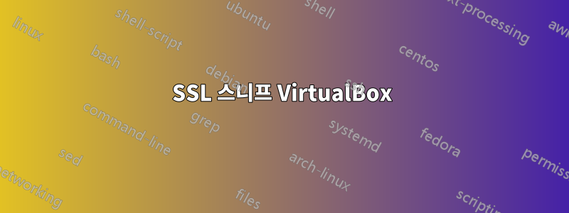 SSL 스니프 VirtualBox