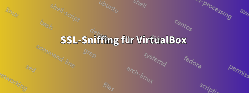 SSL-Sniffing für VirtualBox