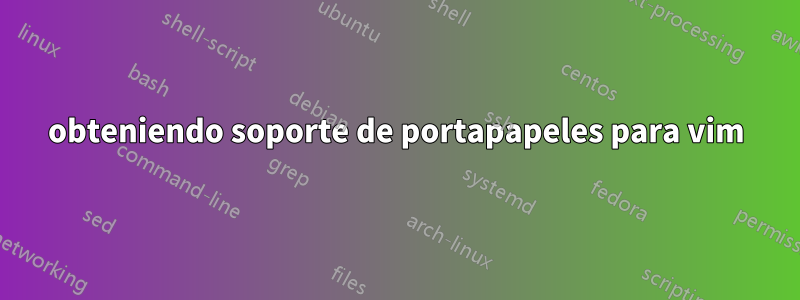 obteniendo soporte de portapapeles para vim