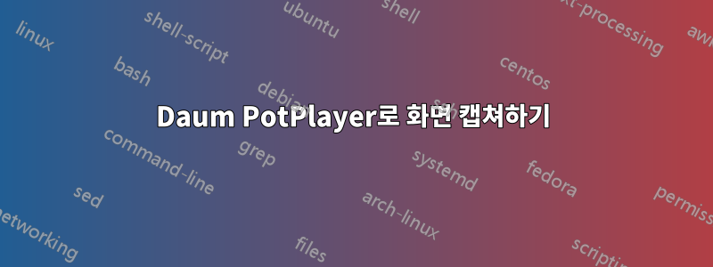 Daum PotPlayer로 화면 캡쳐하기