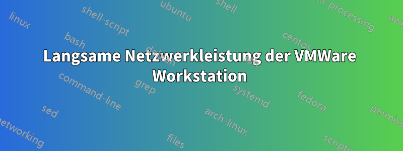 Langsame Netzwerkleistung der VMWare Workstation