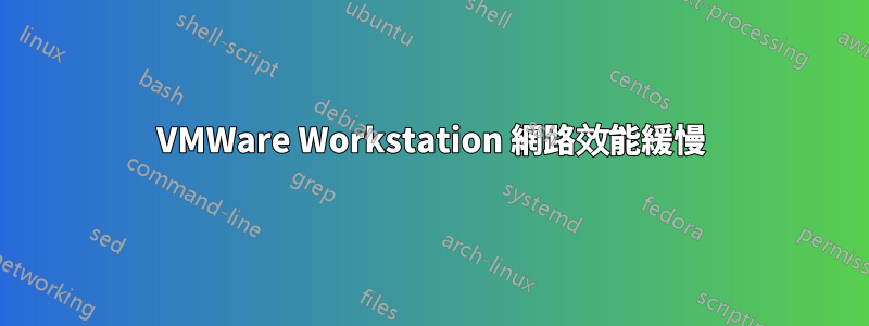 VMWare Workstation 網路效能緩慢