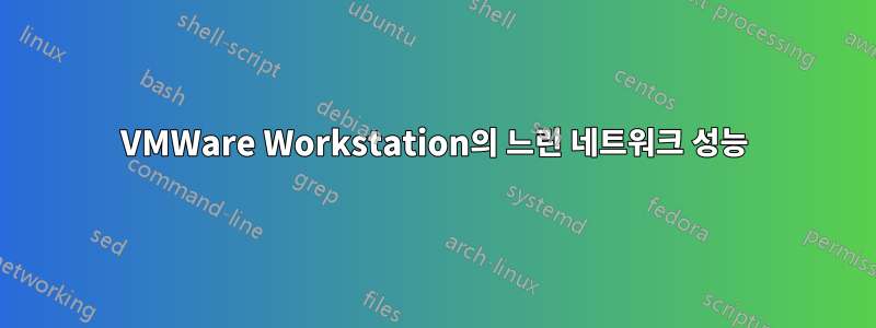 VMWare Workstation의 느린 네트워크 성능