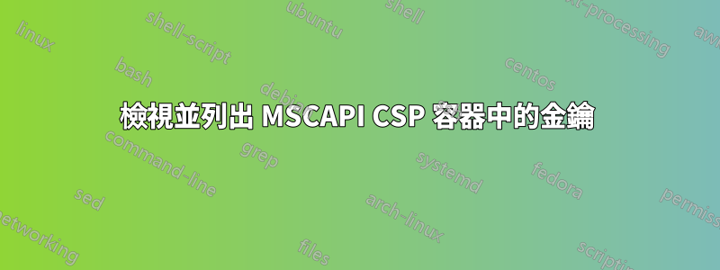 檢視並列出 MSCAPI CSP 容器中的金鑰