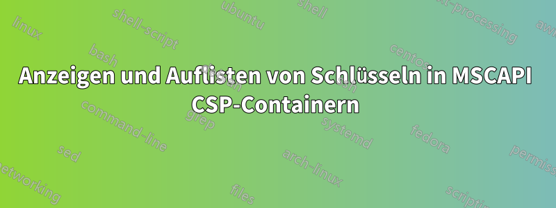 Anzeigen und Auflisten von Schlüsseln in MSCAPI CSP-Containern
