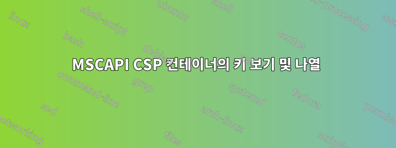 MSCAPI CSP 컨테이너의 키 보기 및 나열