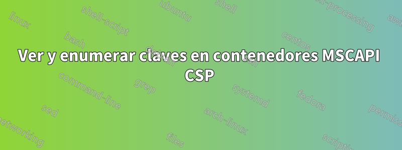 Ver y enumerar claves en contenedores MSCAPI CSP