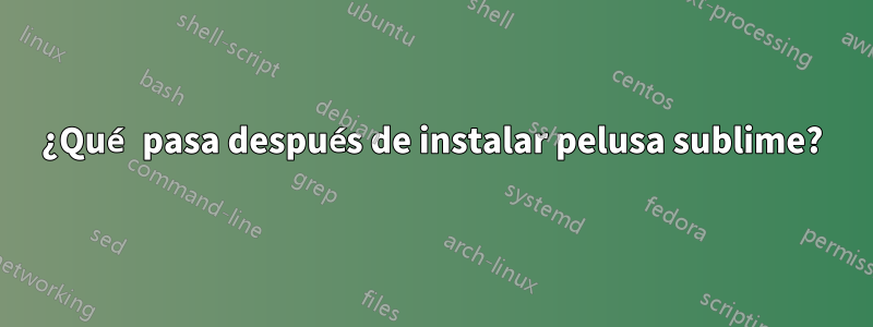 ¿Qué pasa después de instalar pelusa sublime?