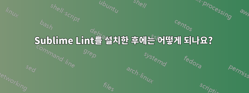 Sublime Lint를 설치한 후에는 어떻게 되나요?