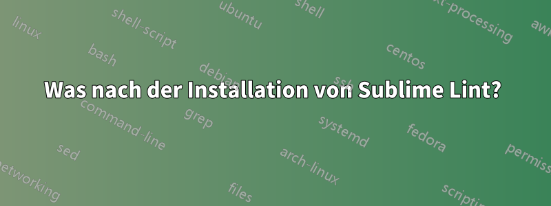 Was nach der Installation von Sublime Lint?