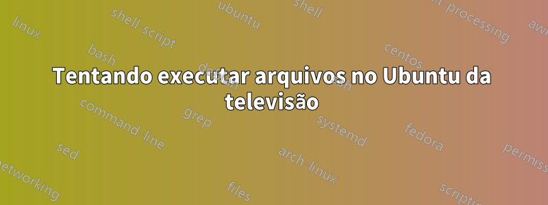 Tentando executar arquivos no Ubuntu da televisão