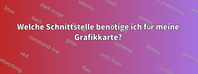 Welche Schnittstelle benötige ich für meine Grafikkarte?