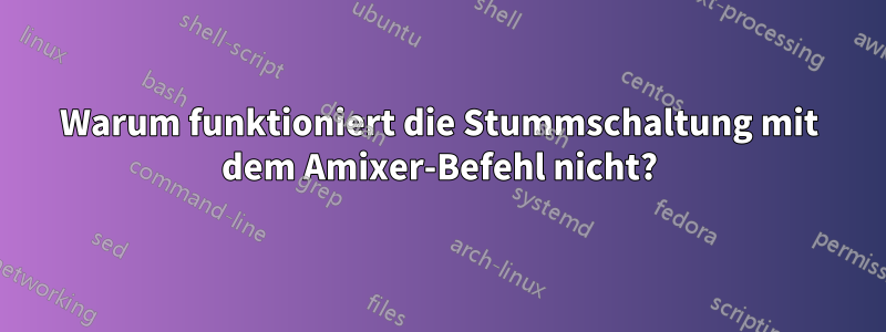Warum funktioniert die Stummschaltung mit dem Amixer-Befehl nicht?