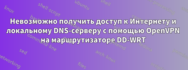 Невозможно получить доступ к Интернету и локальному DNS-серверу с помощью OpenVPN на маршрутизаторе DD-WRT